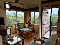 View out of lanai and living room