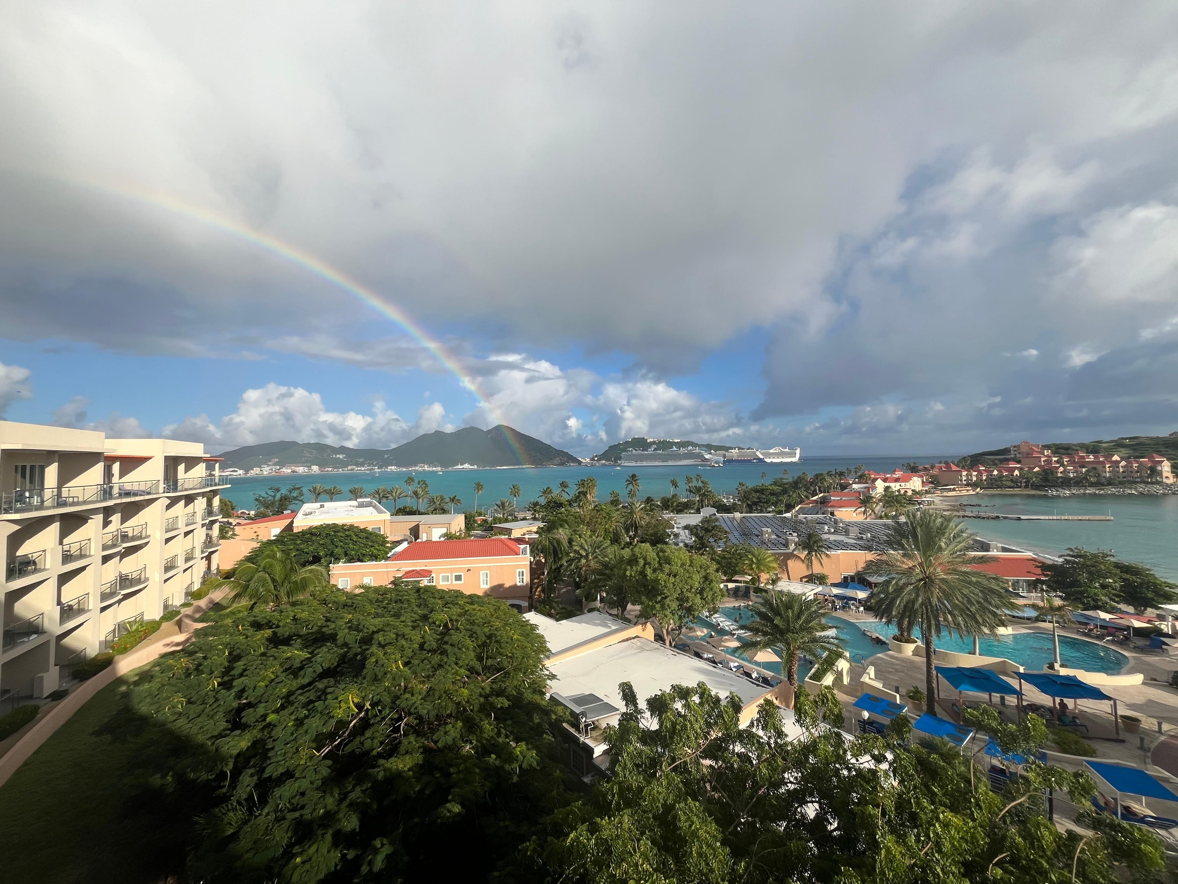 View from room with surprise visitor. 