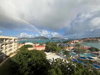 View from room with surprise visitor.