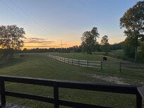 The view from the deck