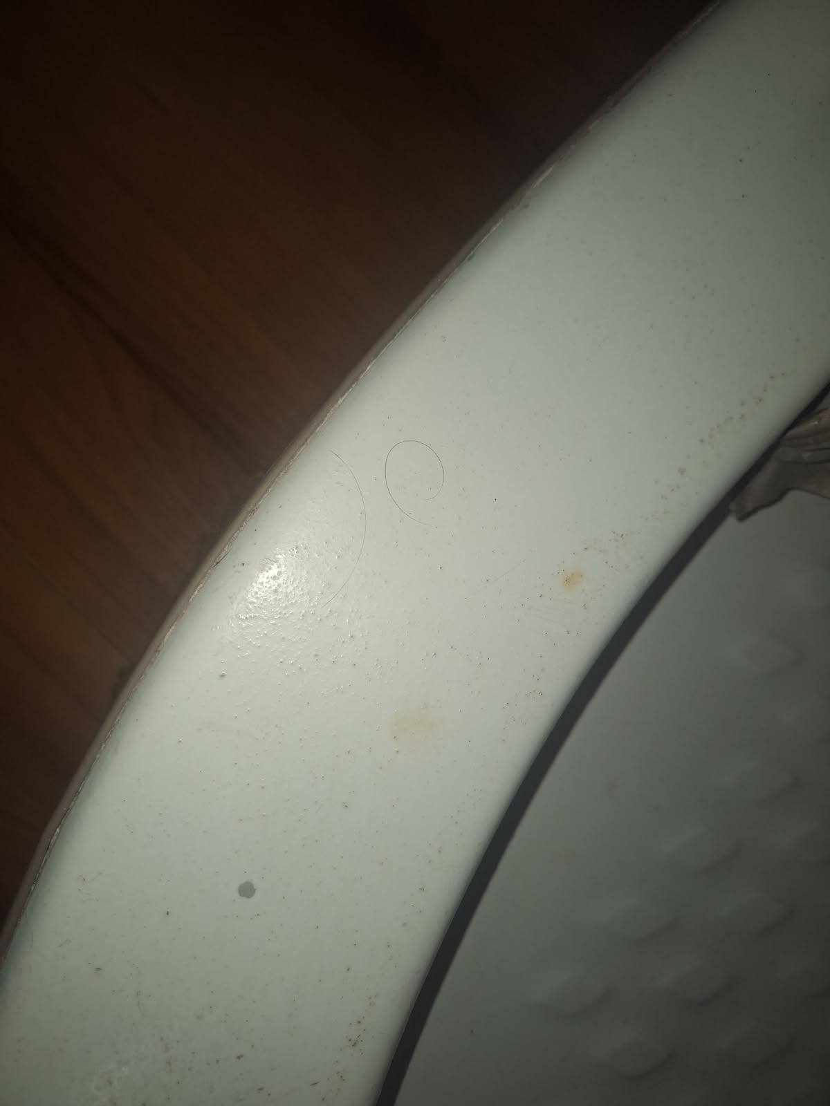 Toilet had to be cleaned