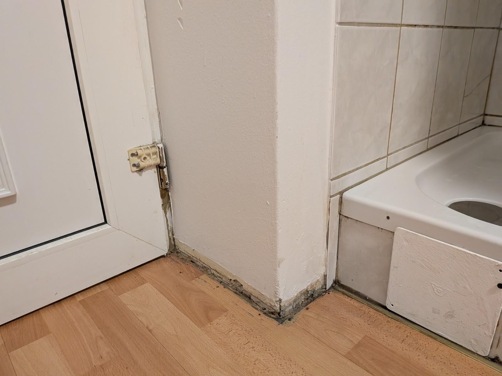 Mold around the shower.