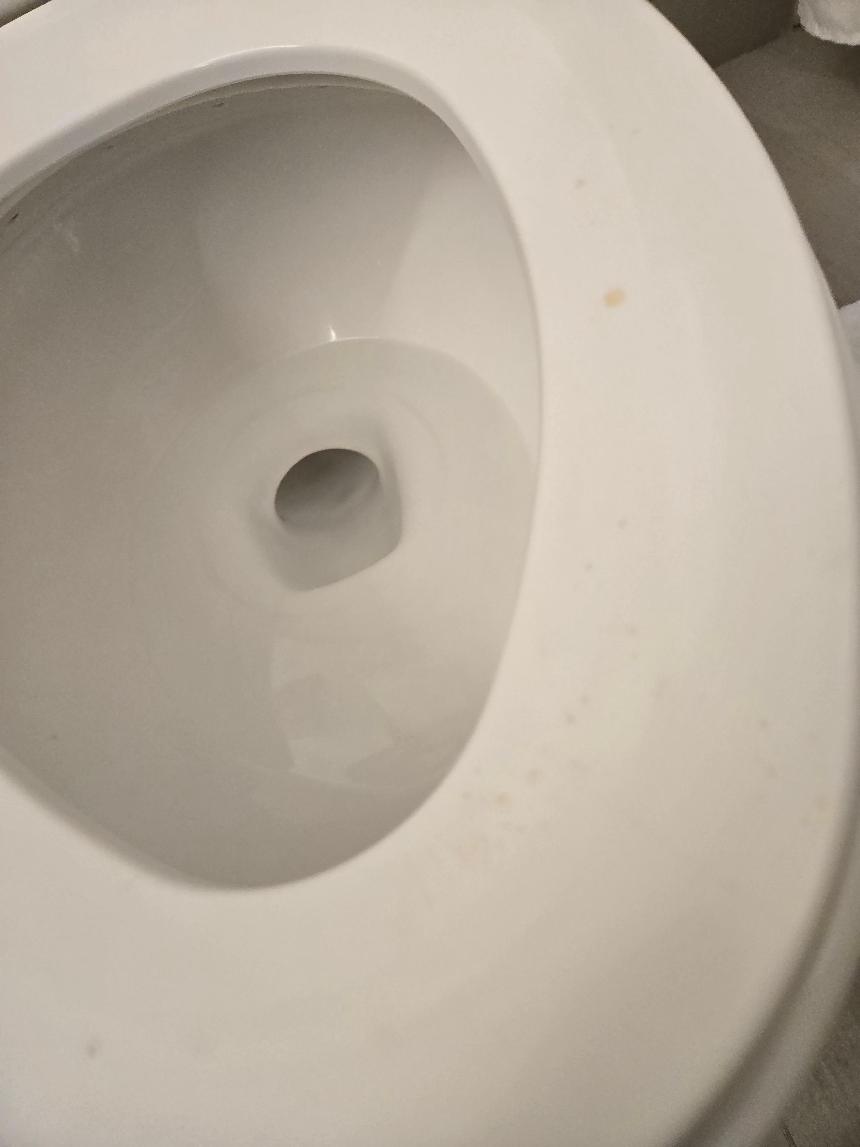 Urine drops by previous guest