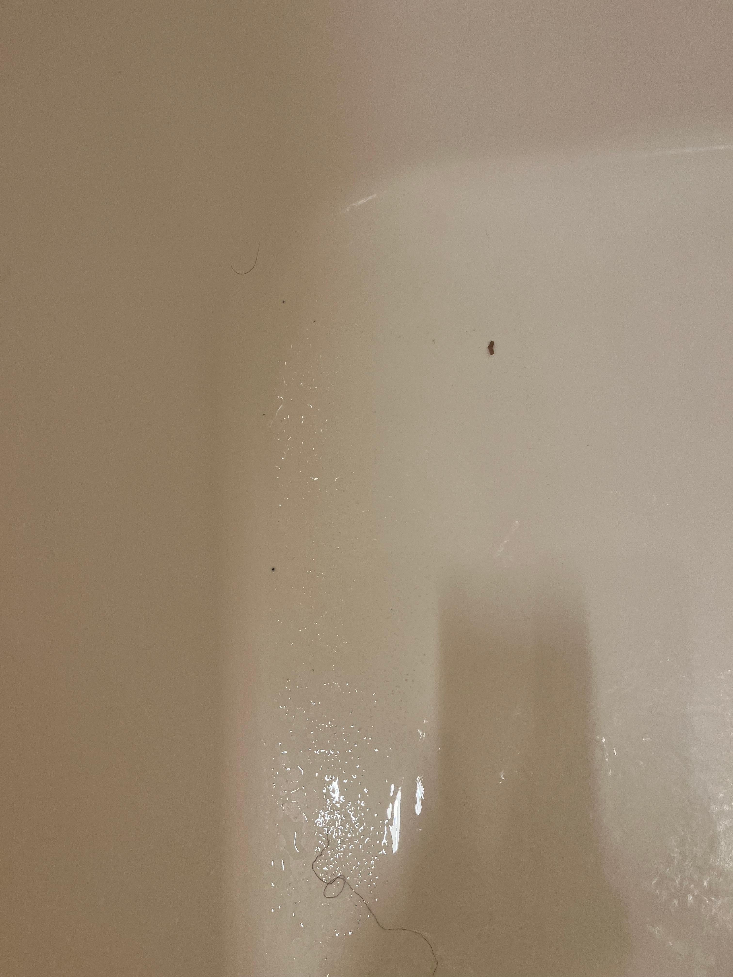 The bath tub was filthy!