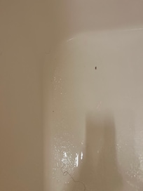 The bath tub was filthy!