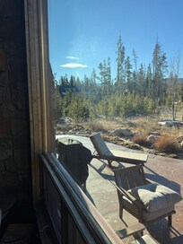 Cute little fox that visited us a few times!