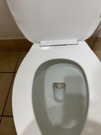 Poop stains on toilet seat