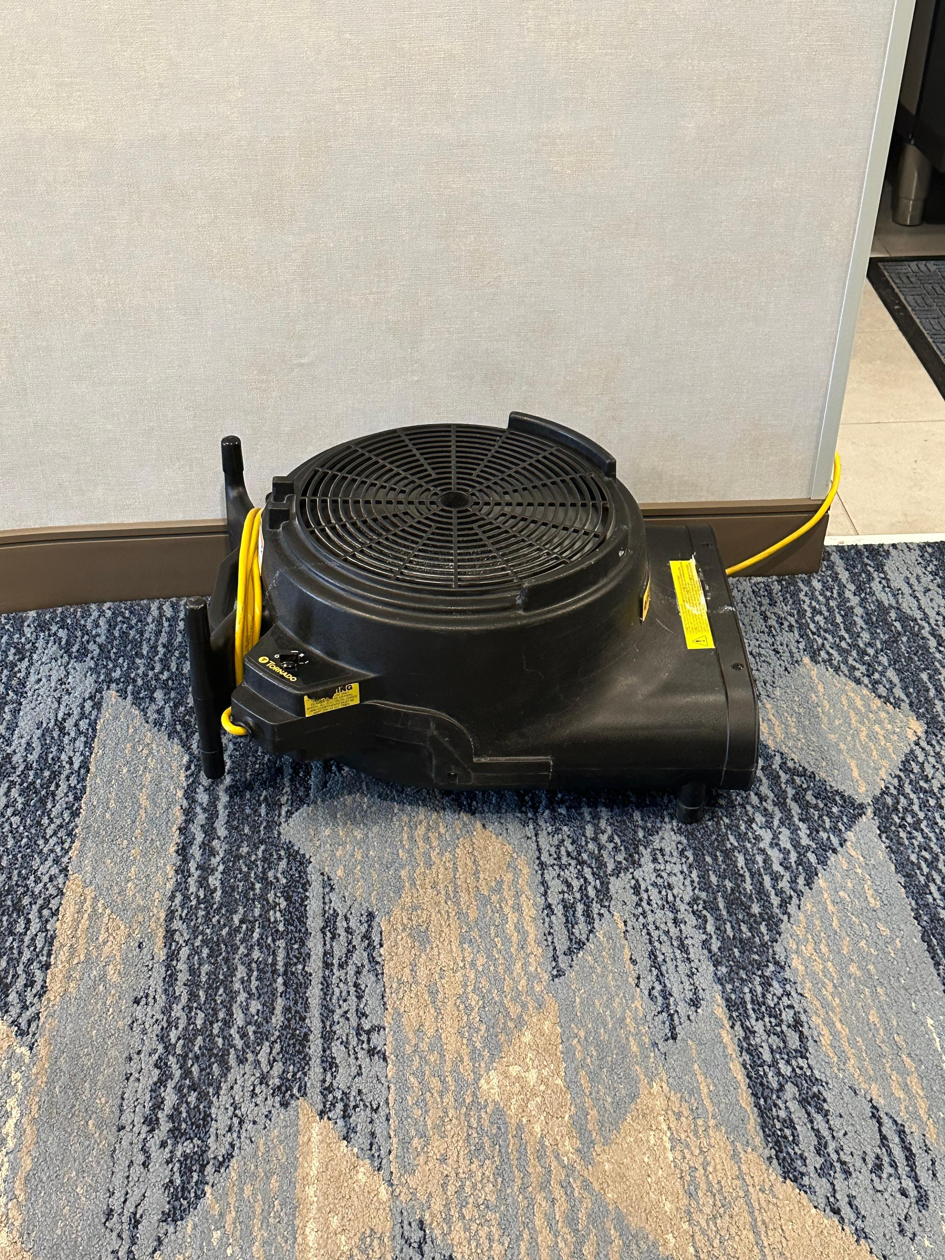 Giant fan outside my room door