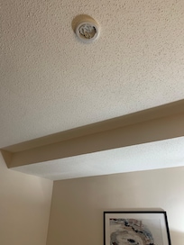 Smoke detector removed