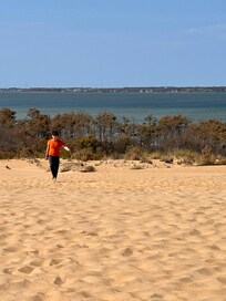 At the Jockey state park, 3 min from the property