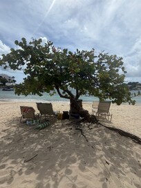 Relaxing under the tree at Cowpet Beach!