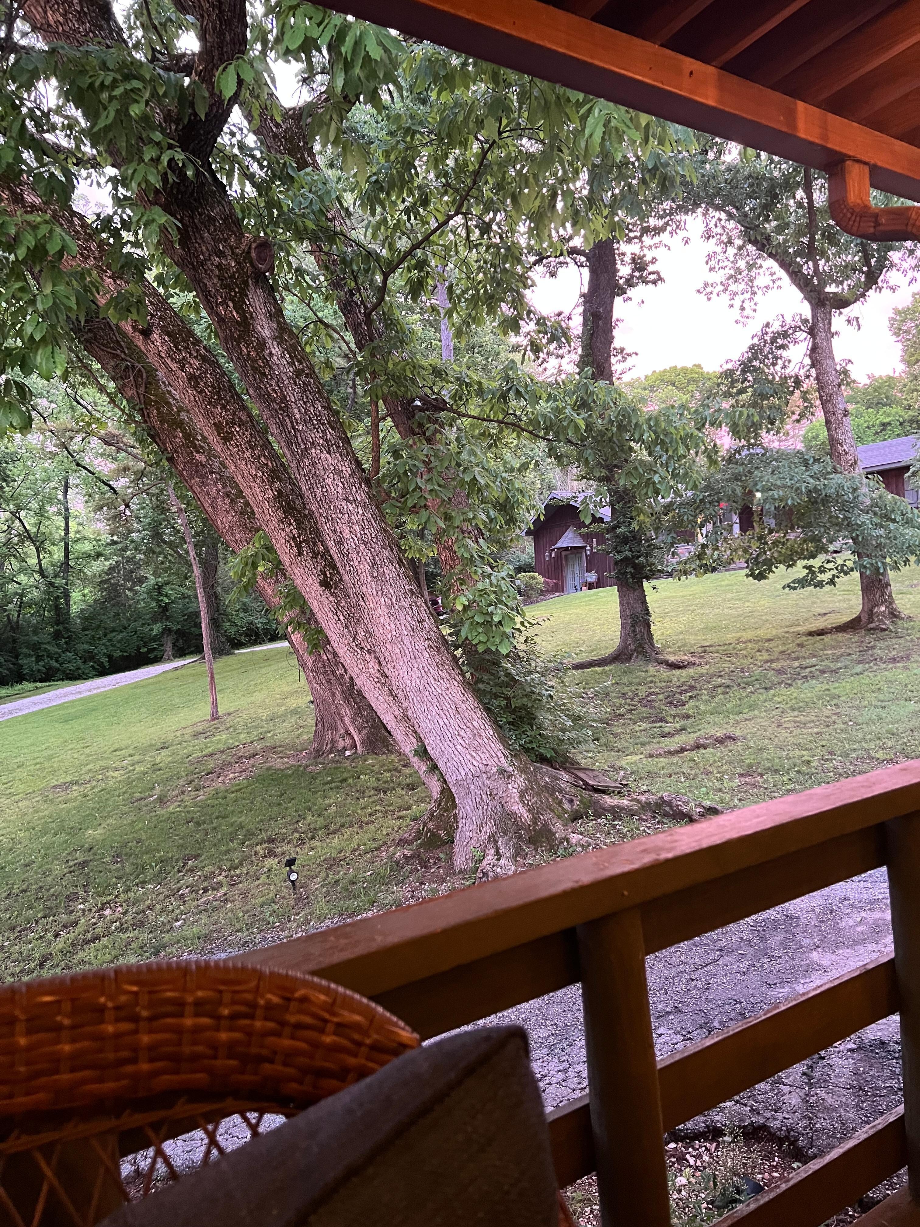 One view from the patio. 