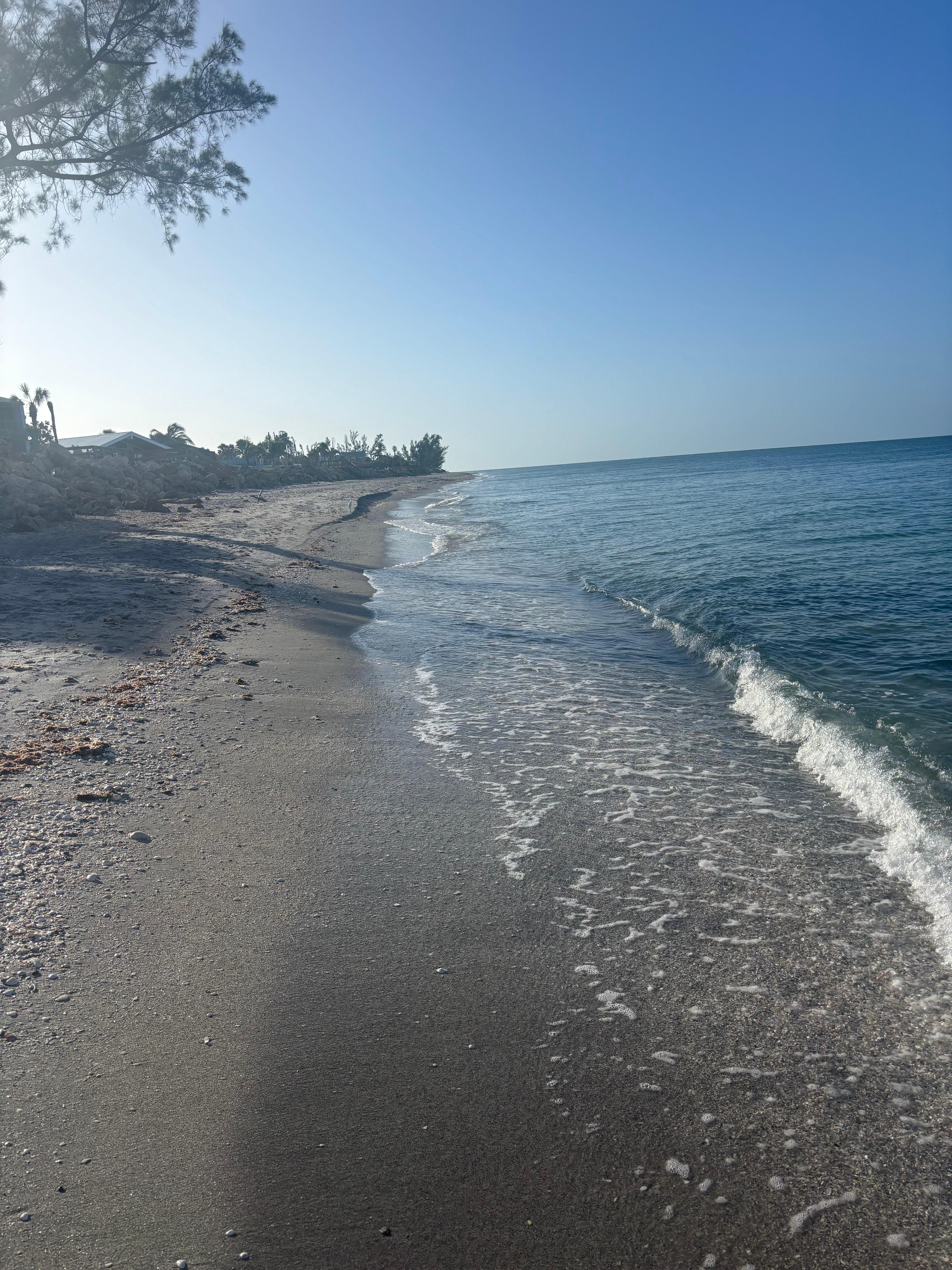 Beach across the street.