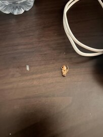 Roach issue