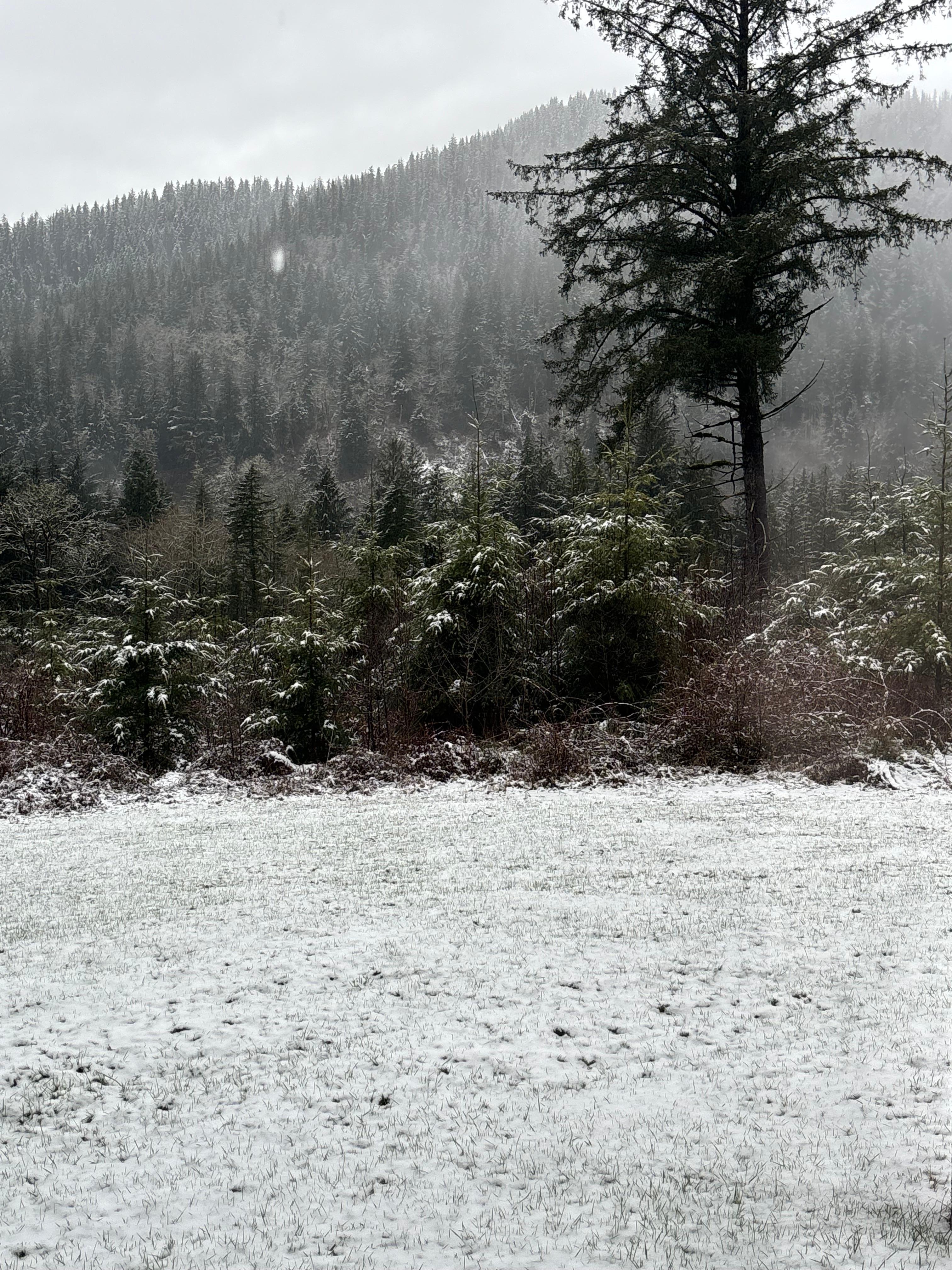 Outside view from master bedroom at the rental property. 