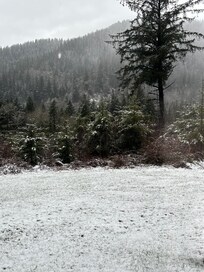 Outside view from master bedroom at the rental property.
