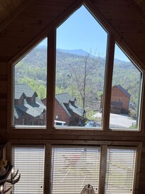 View from living room window