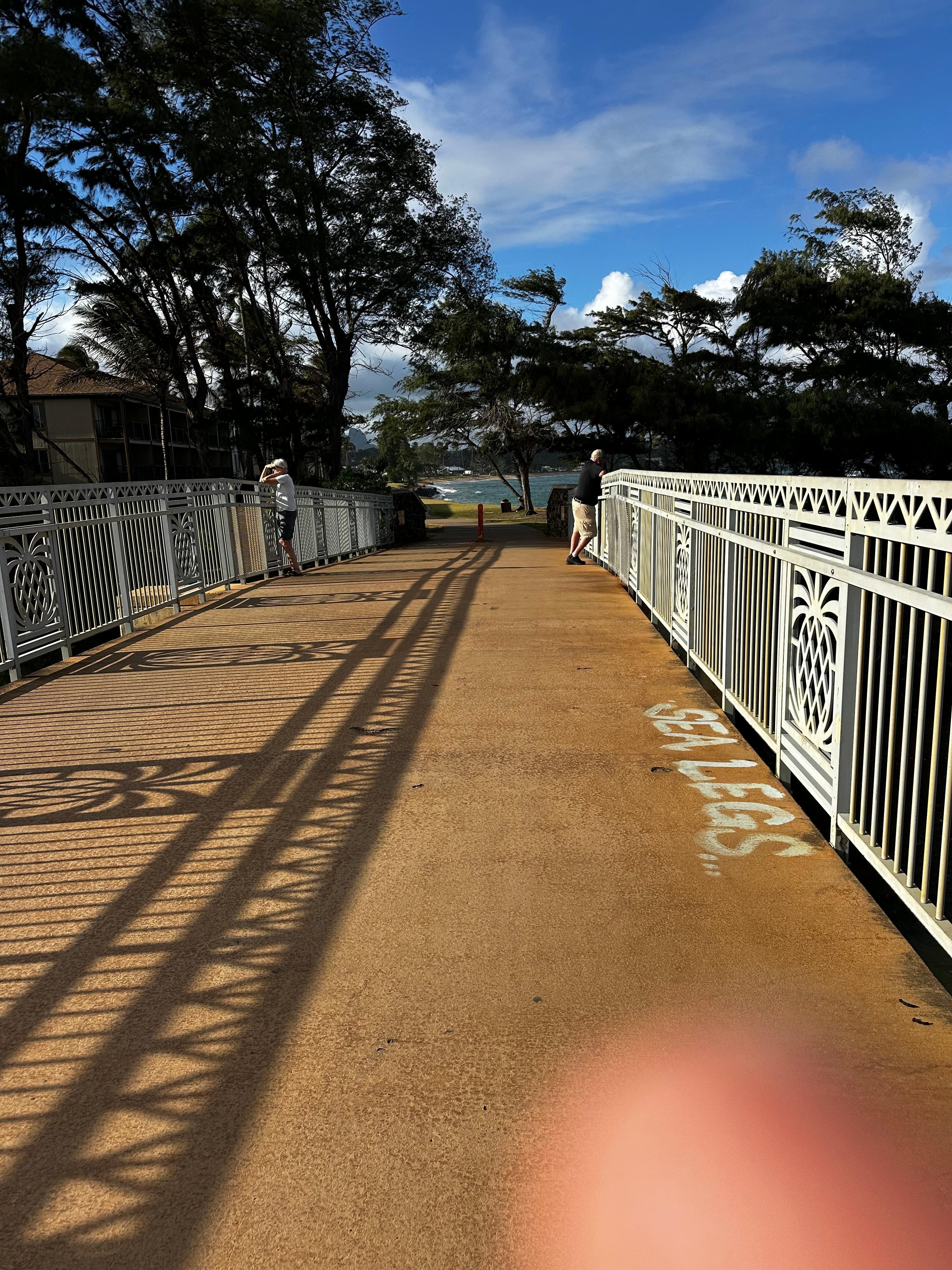 Bike path( long and nice, that is a bridge)