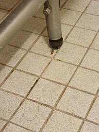 Dead roach I sprayed to death with Lysol.