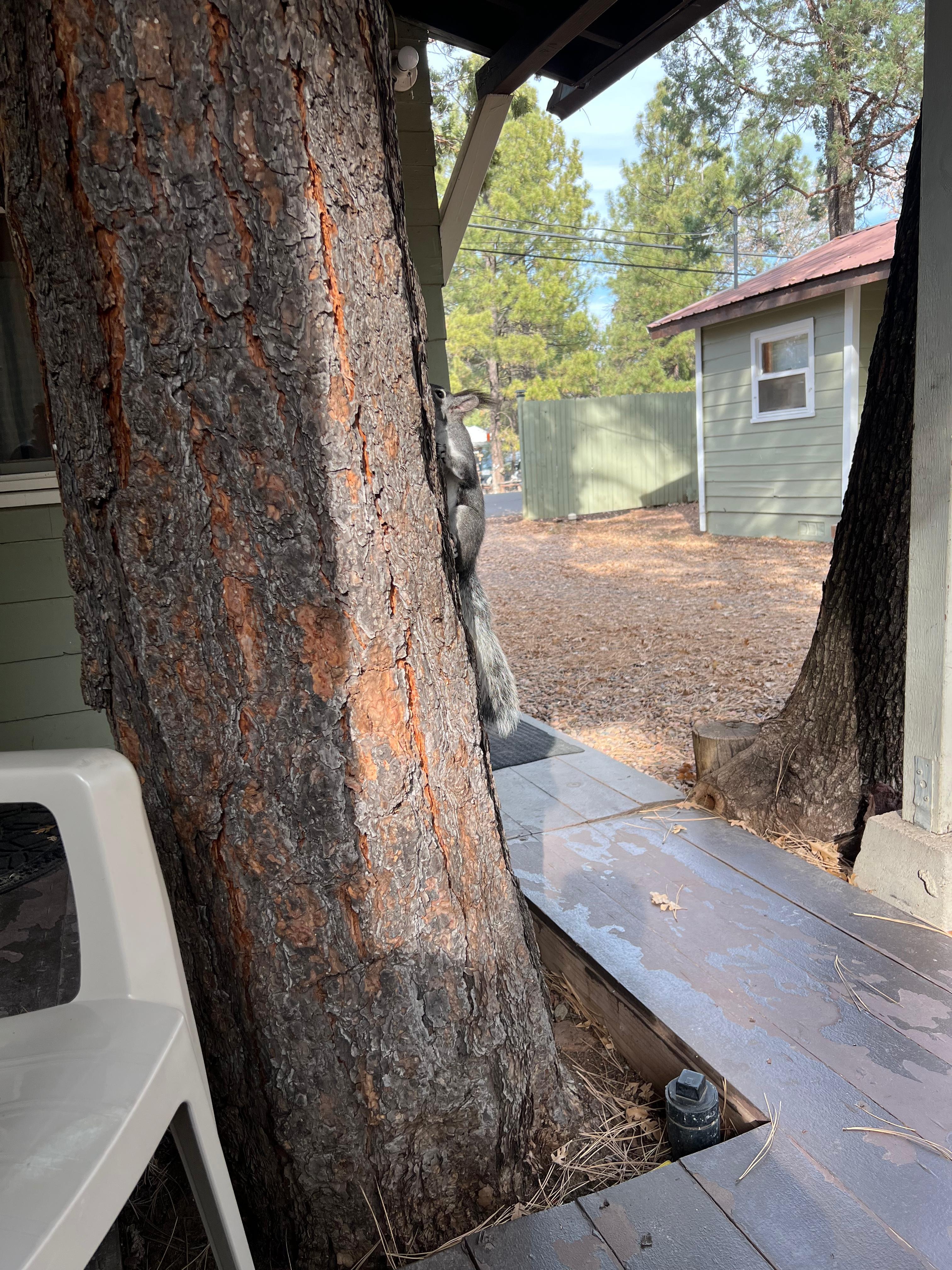 Moving in for the kill…