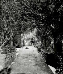 Ruelle de Chomérac