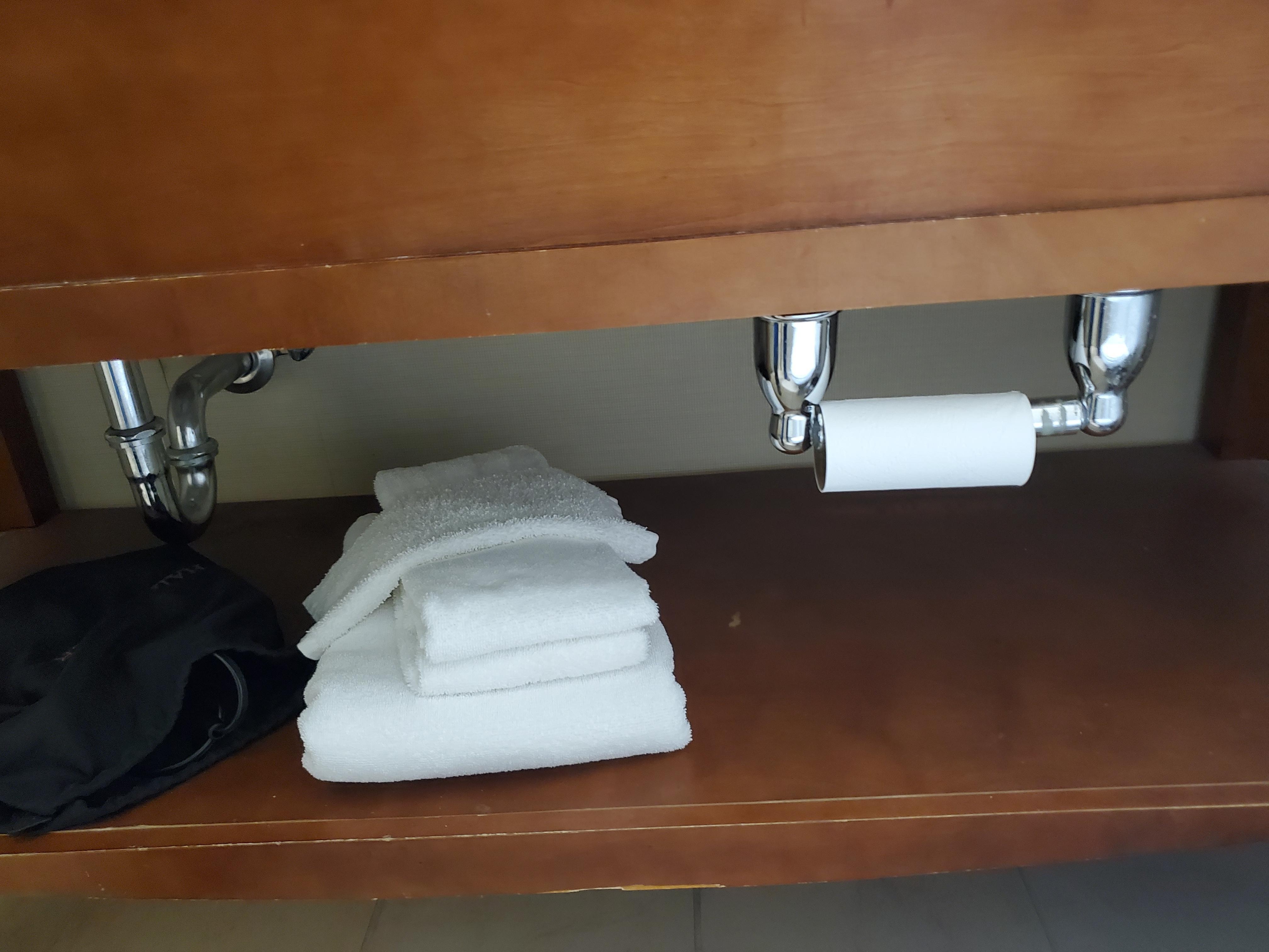 1 partial roll of TP -no "next roll". How stingy and cheap do you have to be to leave only a partial roll of TP.