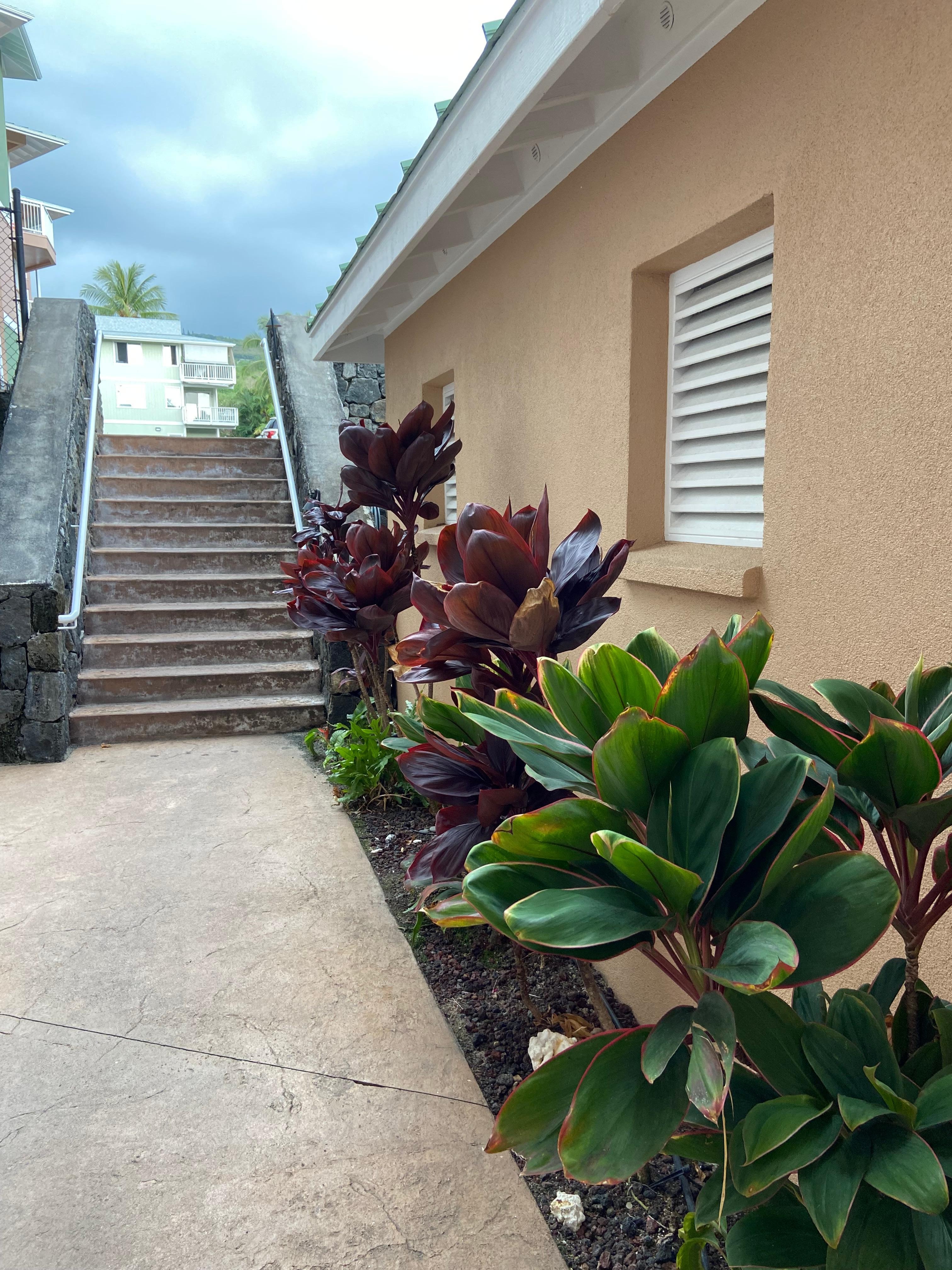 Steps down from the parking lot