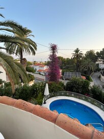 Blick von der Terrasse auf den Pool