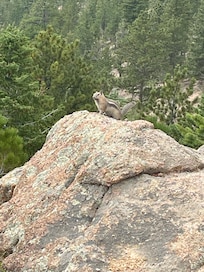 King of the mountain