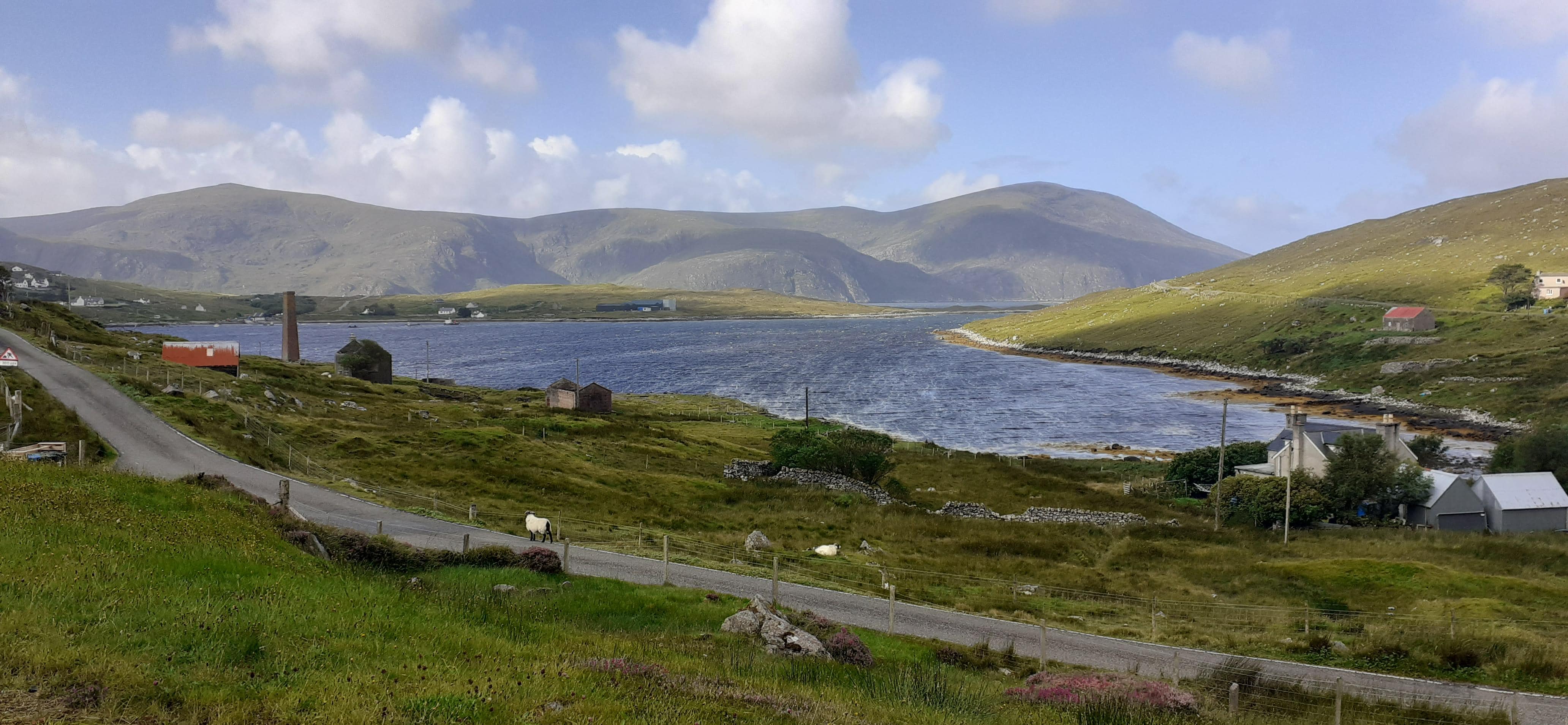 View from lounge window