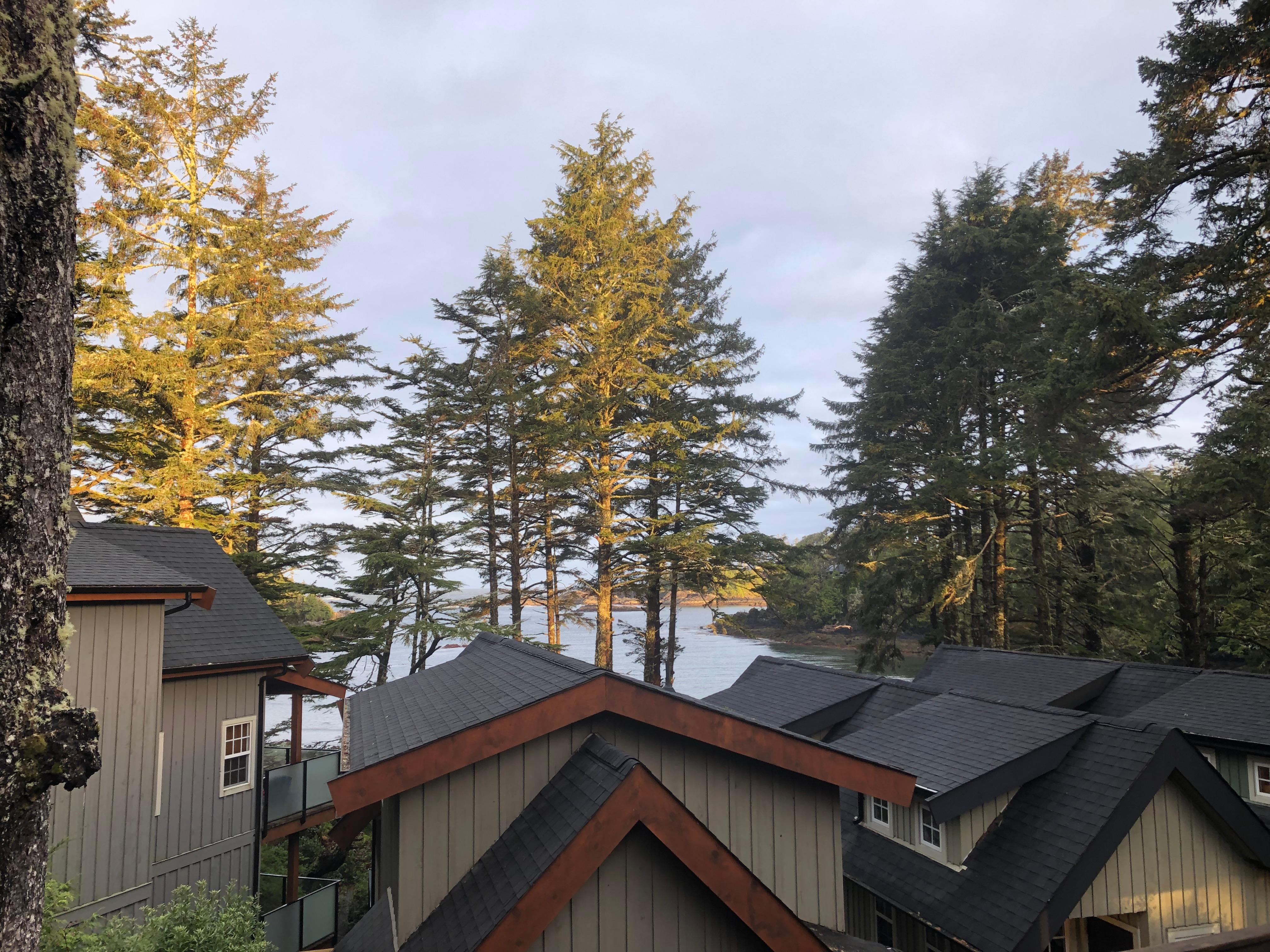 Morning view from the balcony