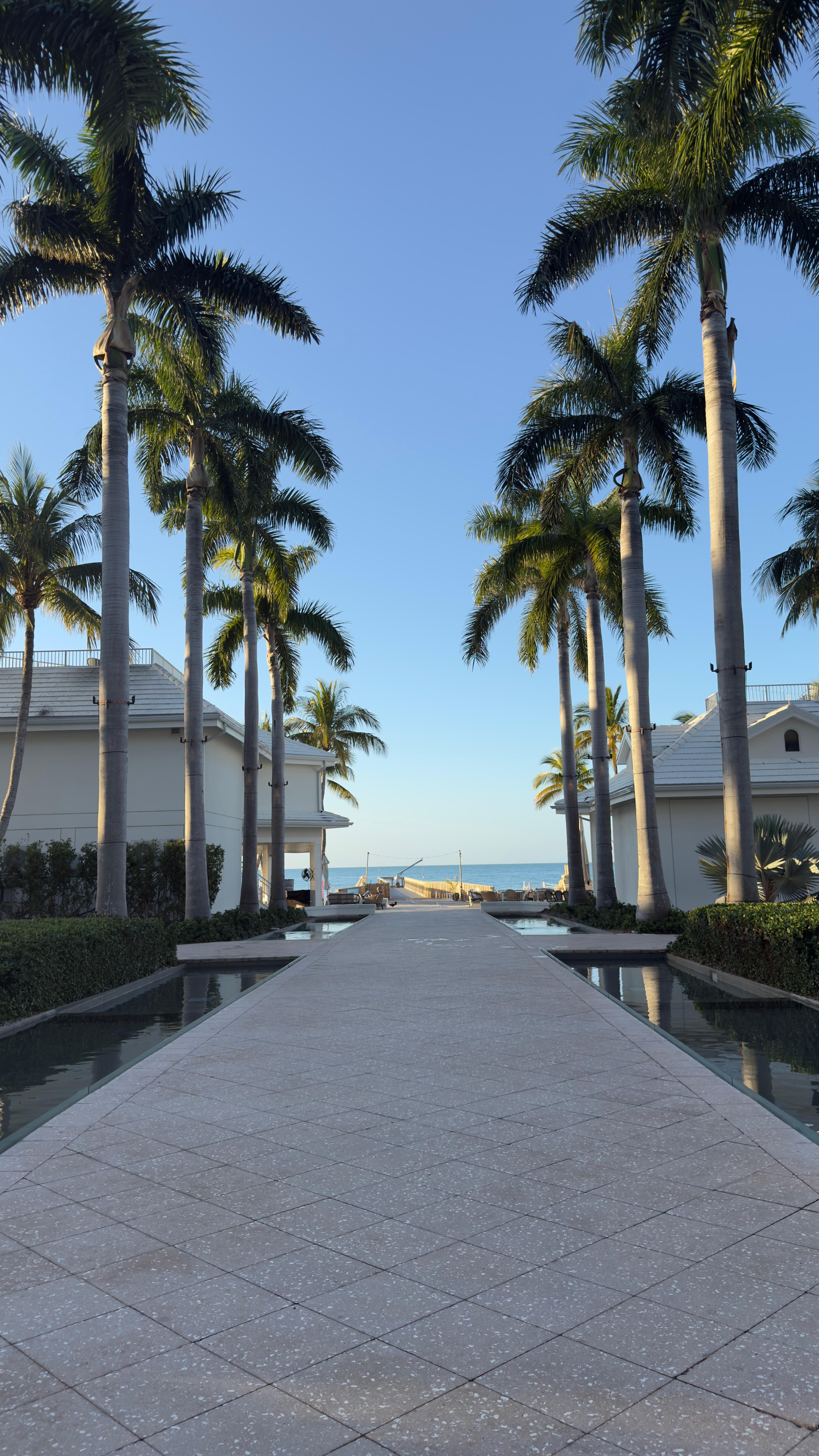 Beautiful walkway on the property 