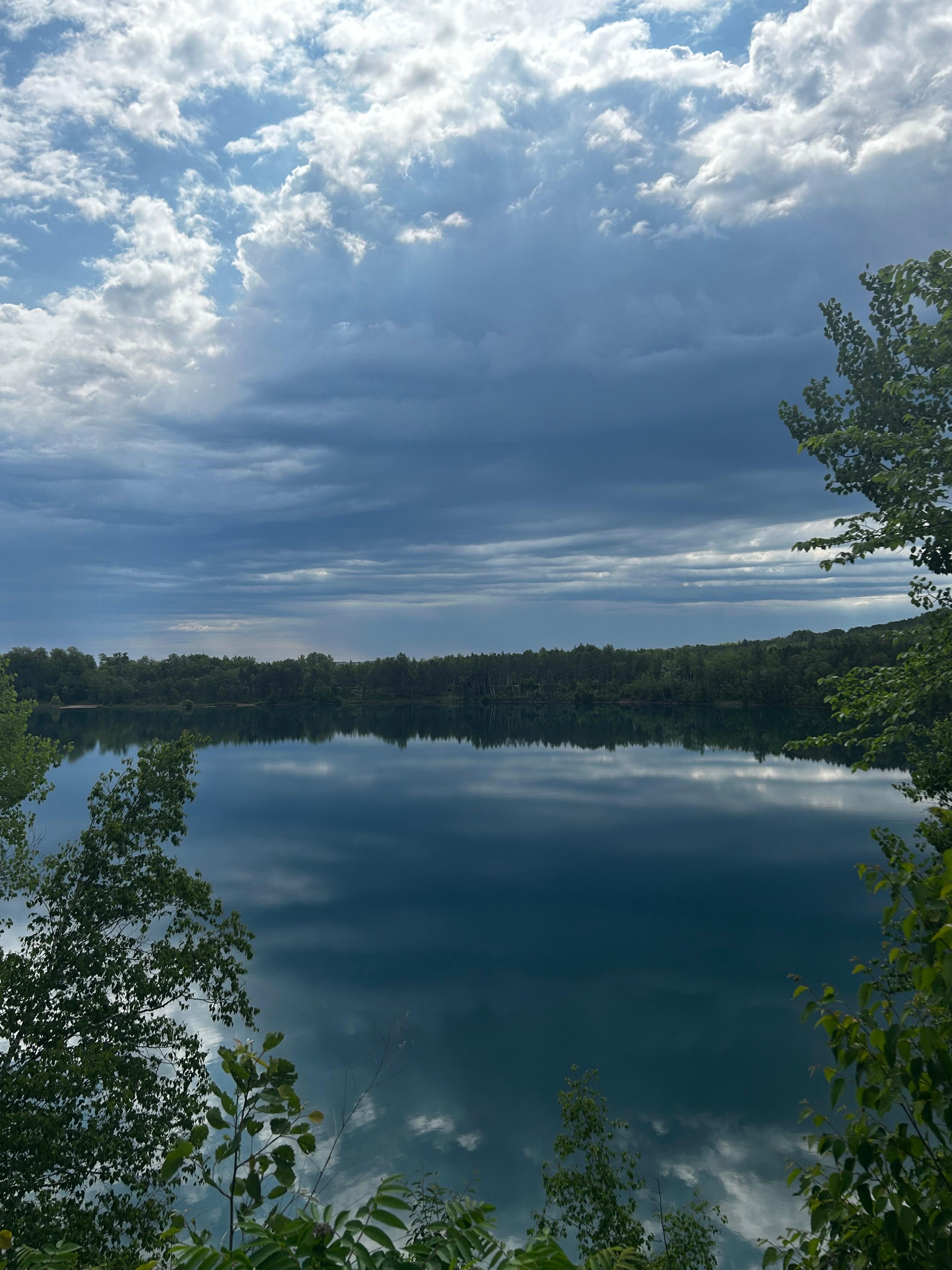 View from the back yard 