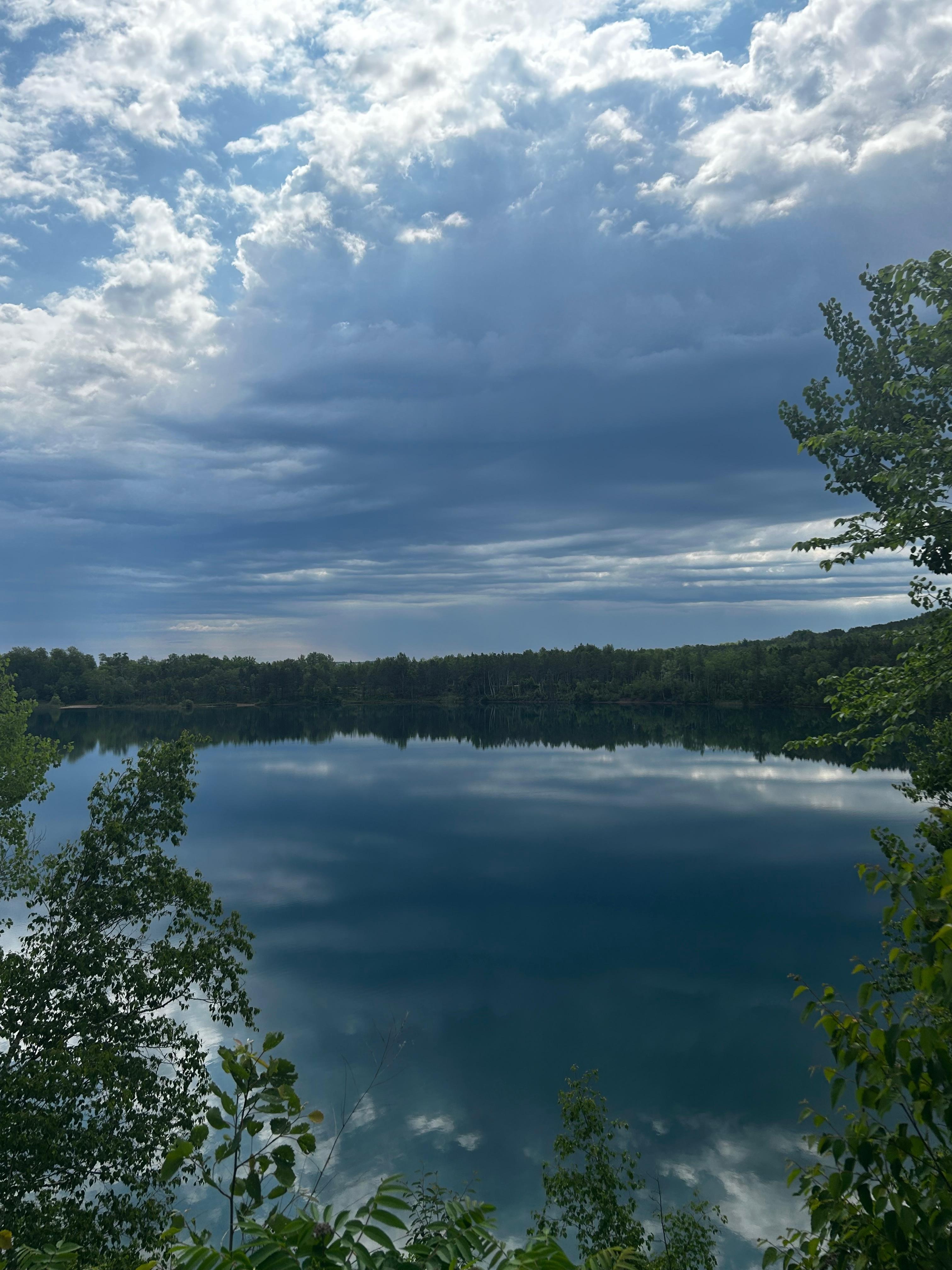 View from the back yard