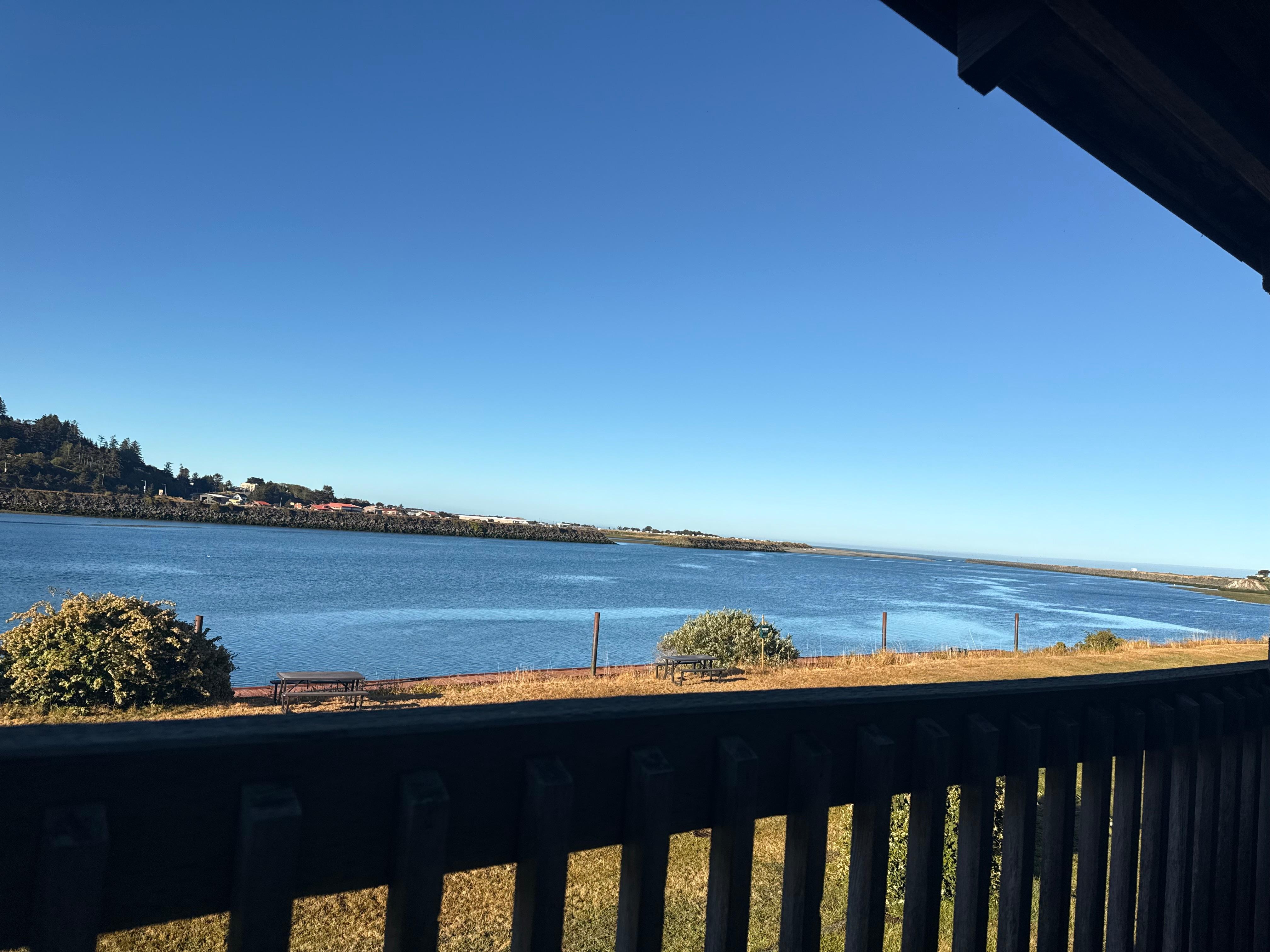Our morning view