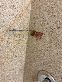 Not sure what this is.