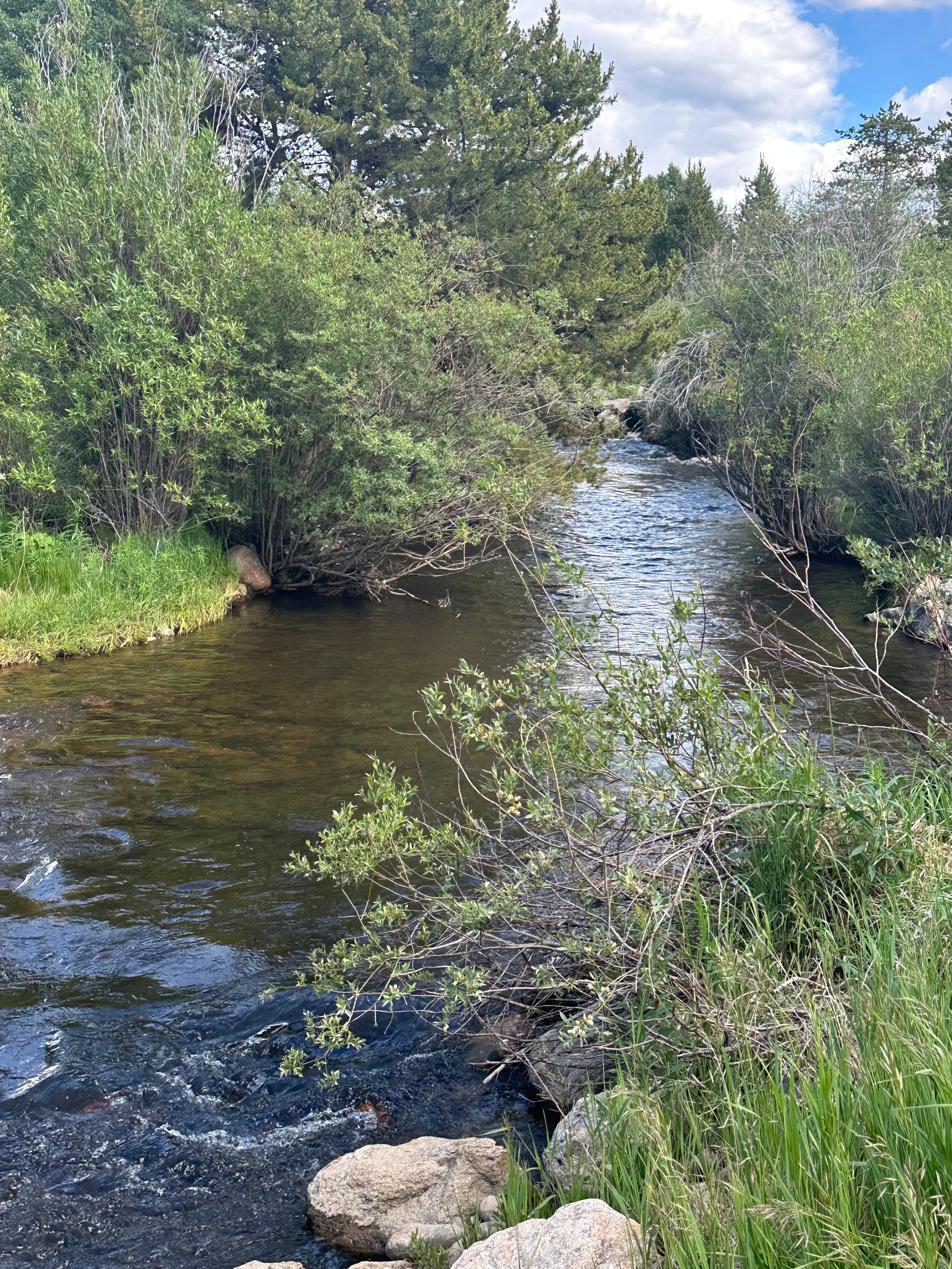 River trail 