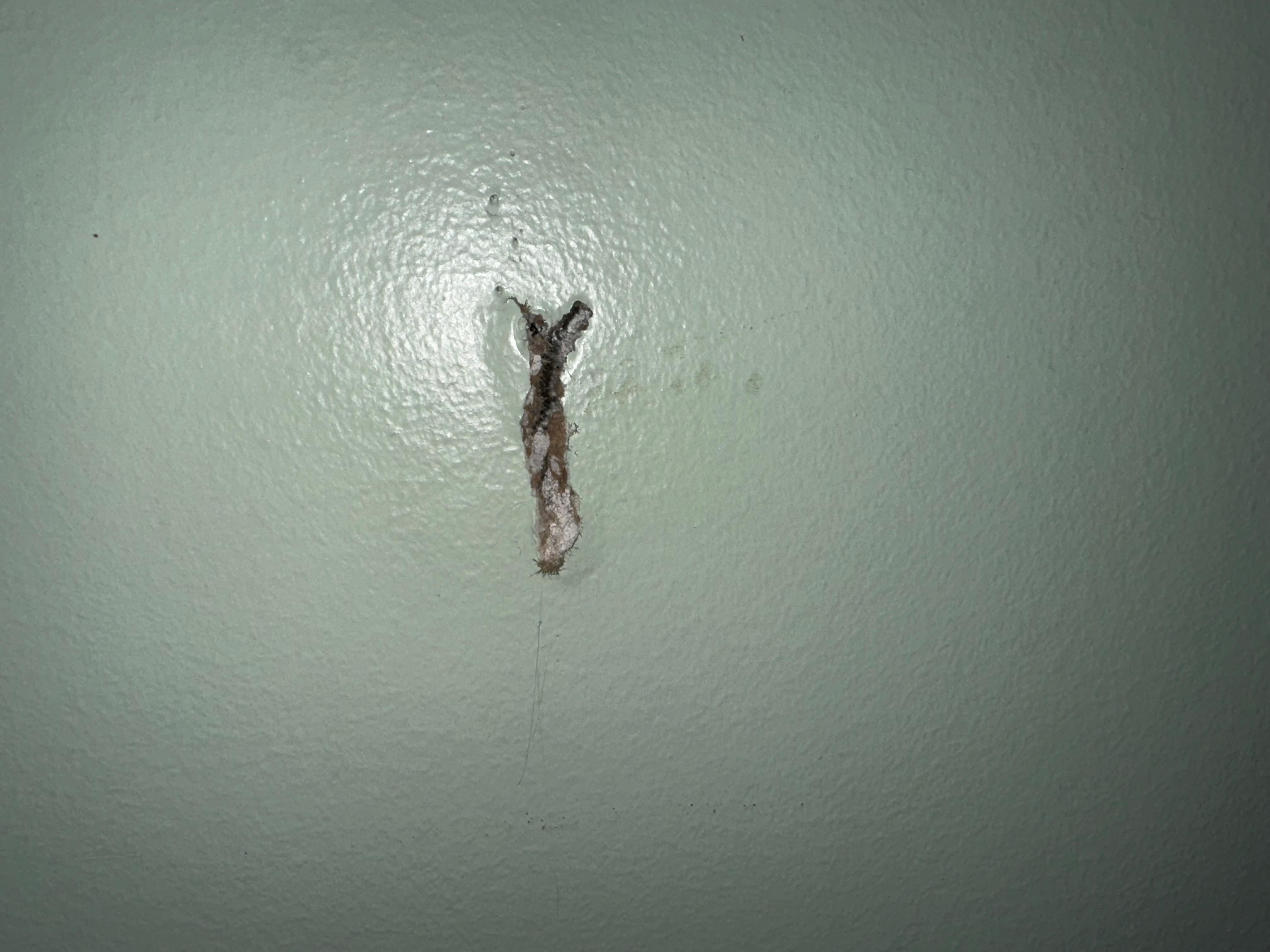 Coat hanger mounted into drywall