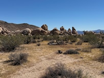 Hiking in Joshua Tree.