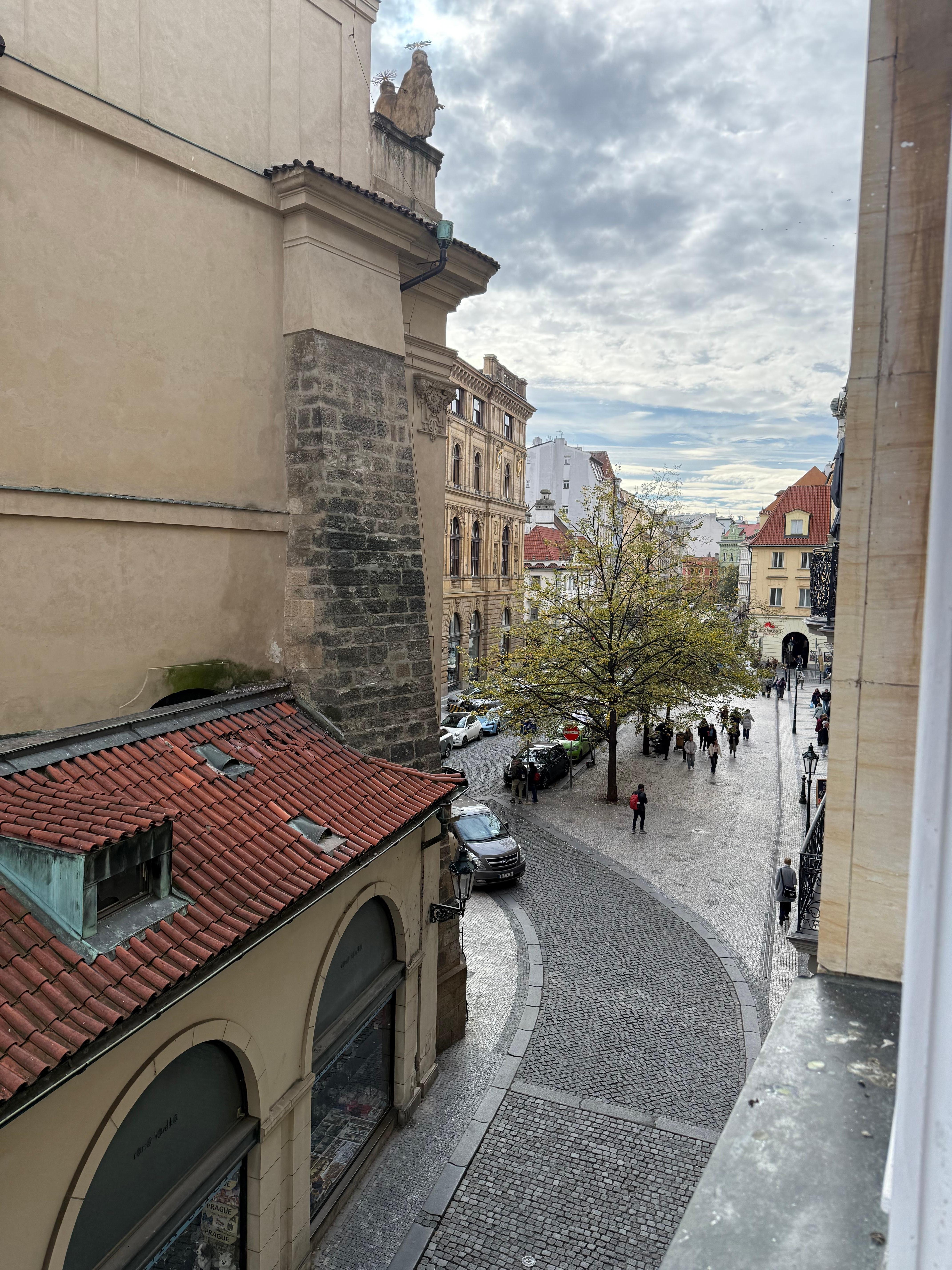 Just outside our window 