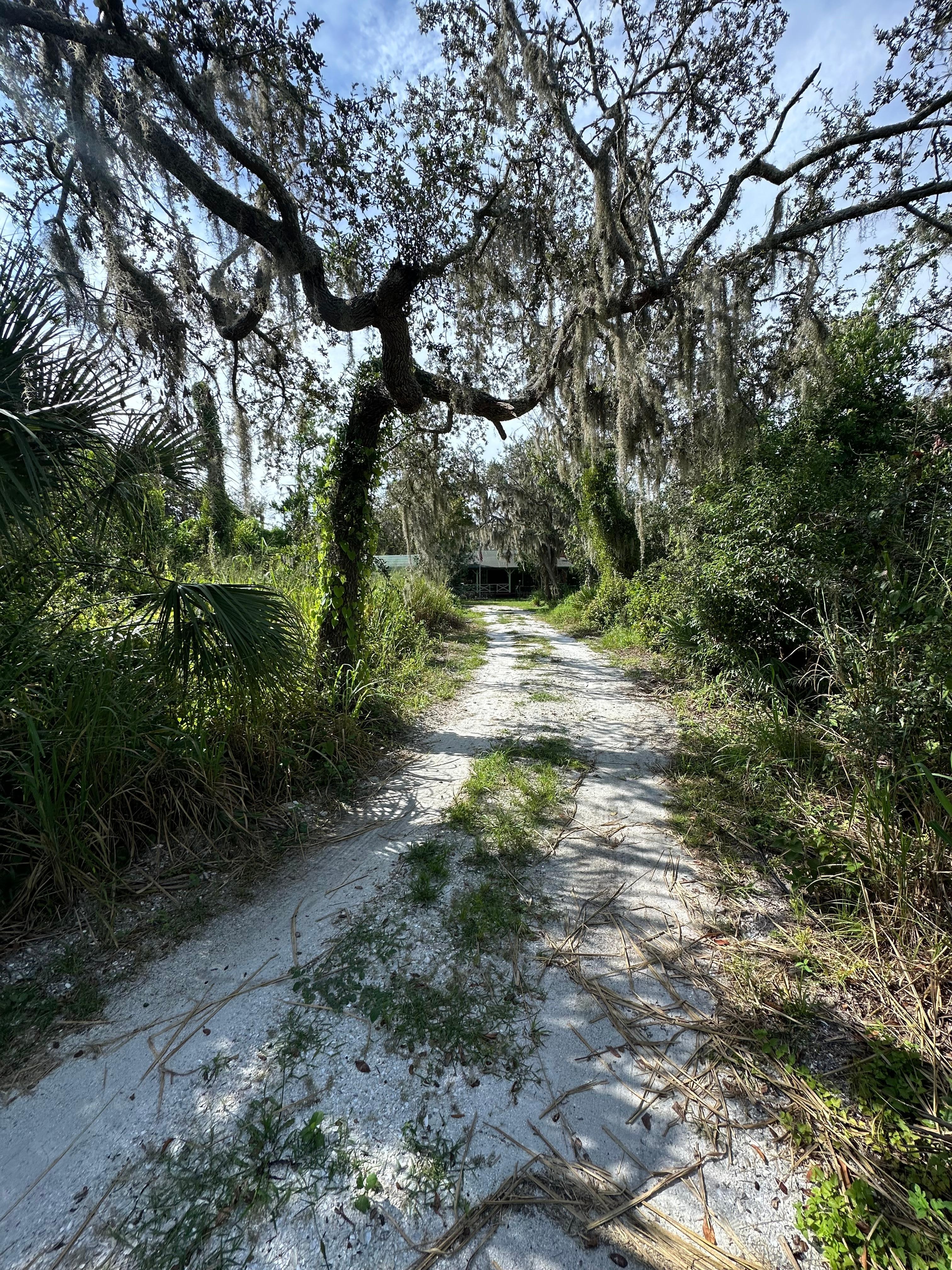 Last curve of the driveway heading to the home