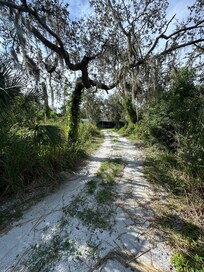 Last curve of the driveway heading to the home