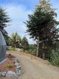 View from the sitting area