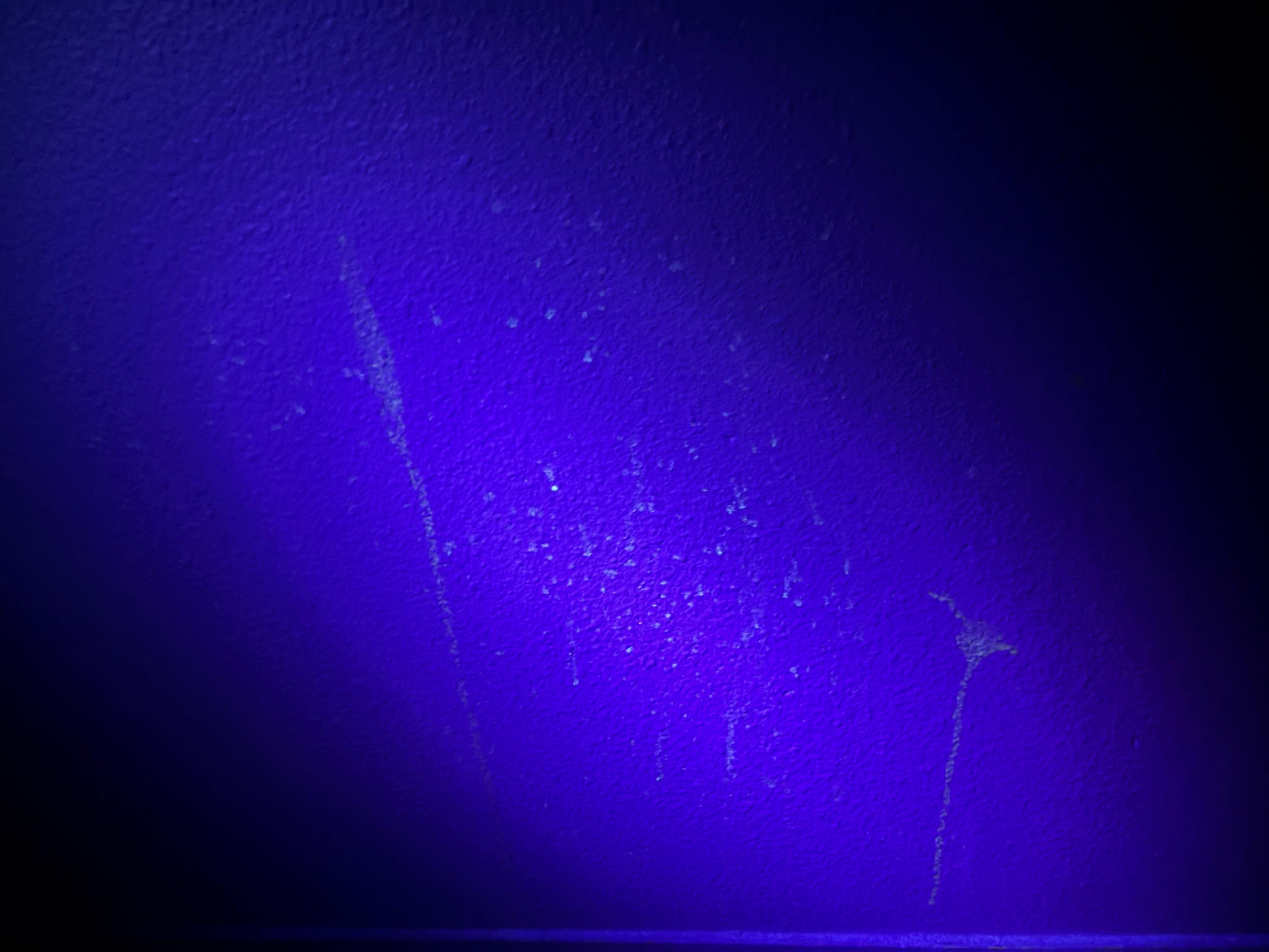 Petit dej à volonté, fluides corporels offert. 