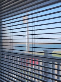 View from the livingroom