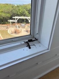 Rotting wood and peeling paint (neve cleaned up by rental company)