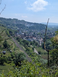 Blick auf Istein