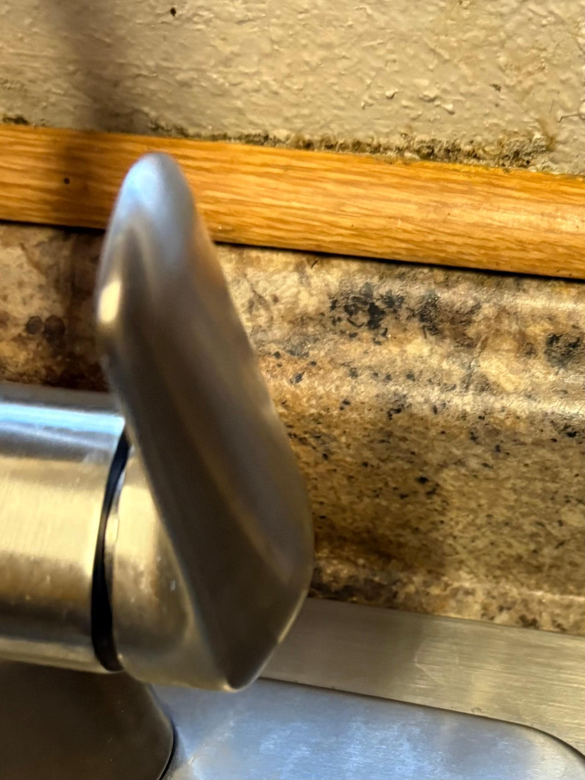 Mold around the kitchen sink trim. 