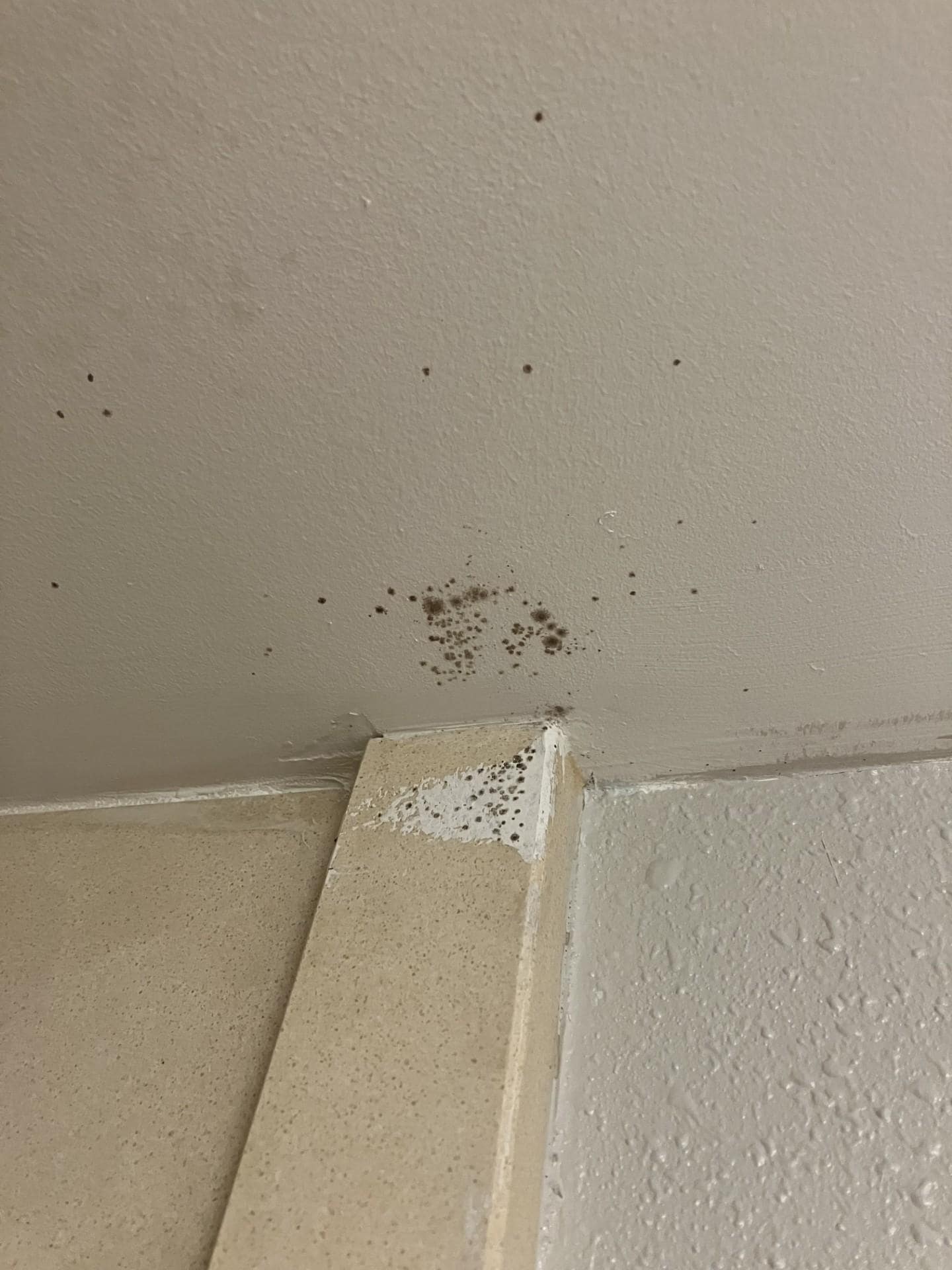 Mold in Bathroom Ceiling