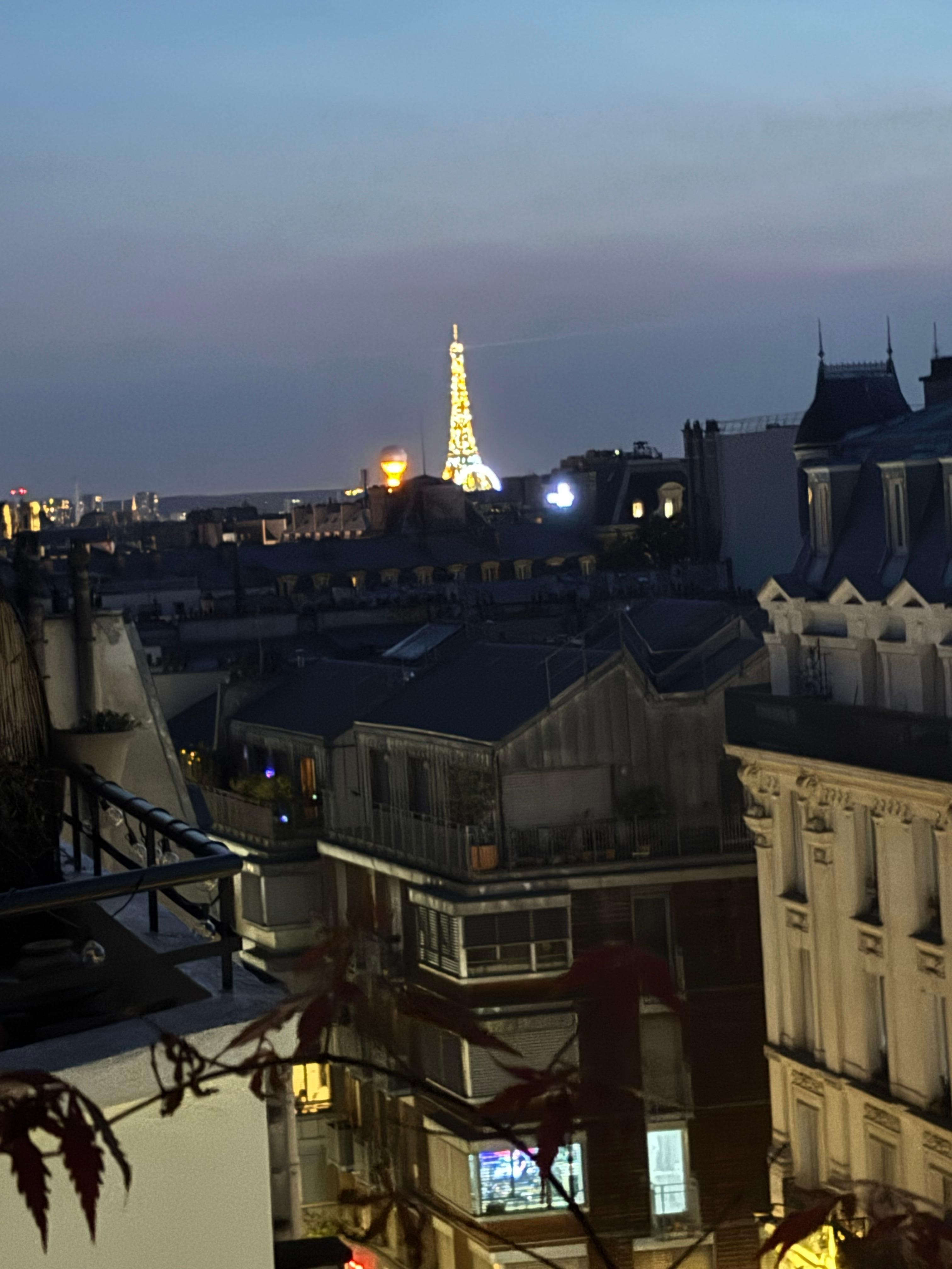 Eiffel Tower at night
(terrace view)